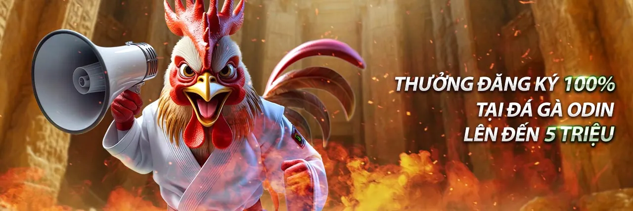 Sân vận động với ánh đèn rực rỡ, tượng trưng cho không khí cá cược thể thao sôi động tại 66club link mới